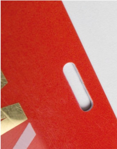 Badge PVC perforation oblongue